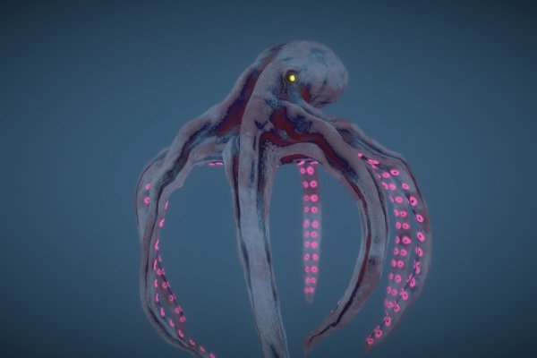 Kraken org