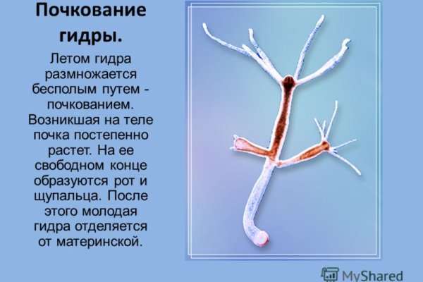 Ссылка на сайт гидра в тор браузере