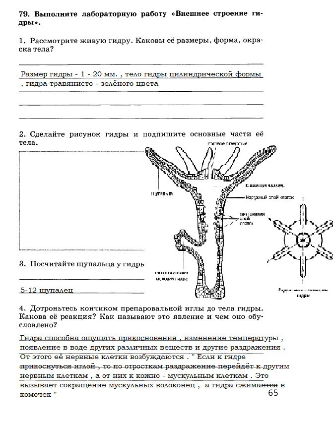 Кракен ссылка 2web