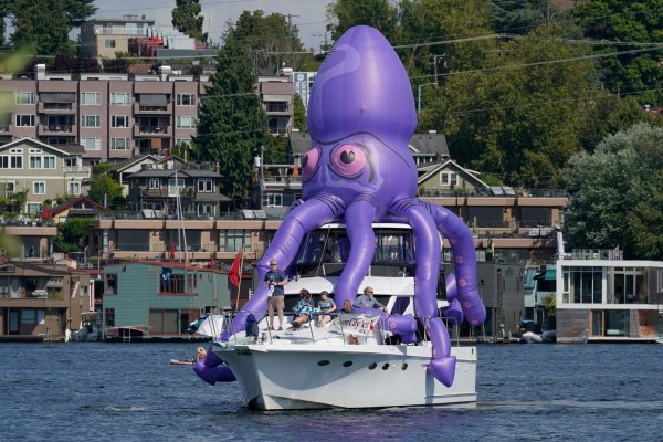 Kraken darknet marketplace