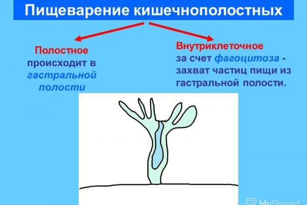 Kraken рабочая ссылка onion
