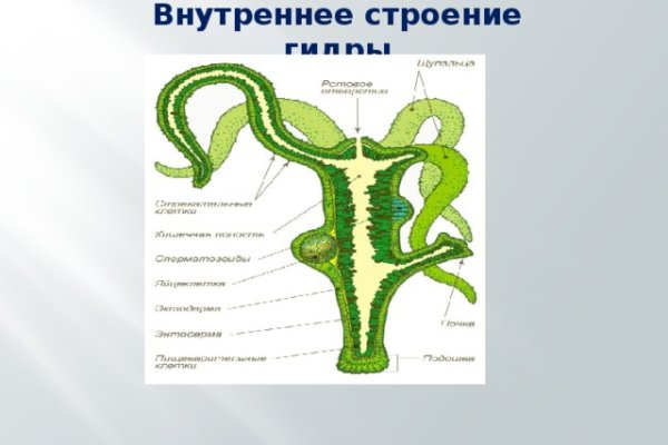 Как войти в даркнет