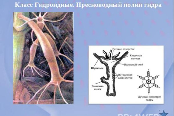Кракен регистрация